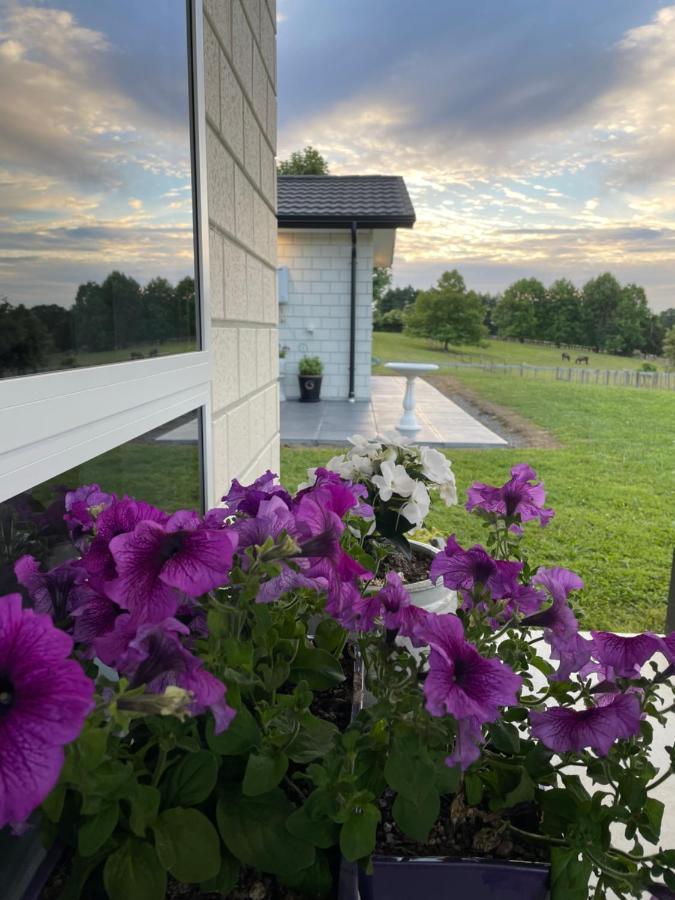 Veld View Bed And Breakfast Tuakau Eksteriør billede