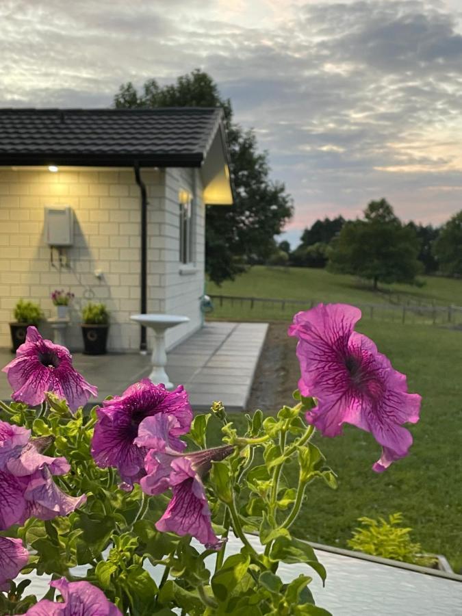 Veld View Bed And Breakfast Tuakau Eksteriør billede
