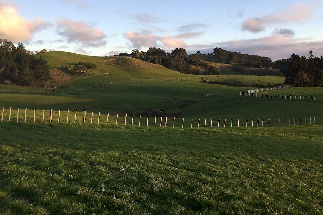 Veld View Bed And Breakfast Tuakau Eksteriør billede
